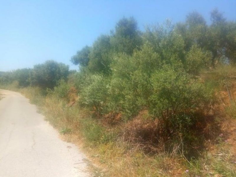 Maleme Kreta, Maleme: Grundstück mit Meerblick innerhalb des Stadtplans zu verkaufen Grundstück kaufen